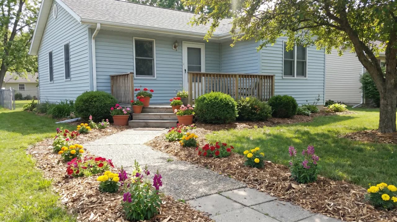 Suburban home with mulch beds, colourful annual dahlias and marigolds and low flowering shrubs